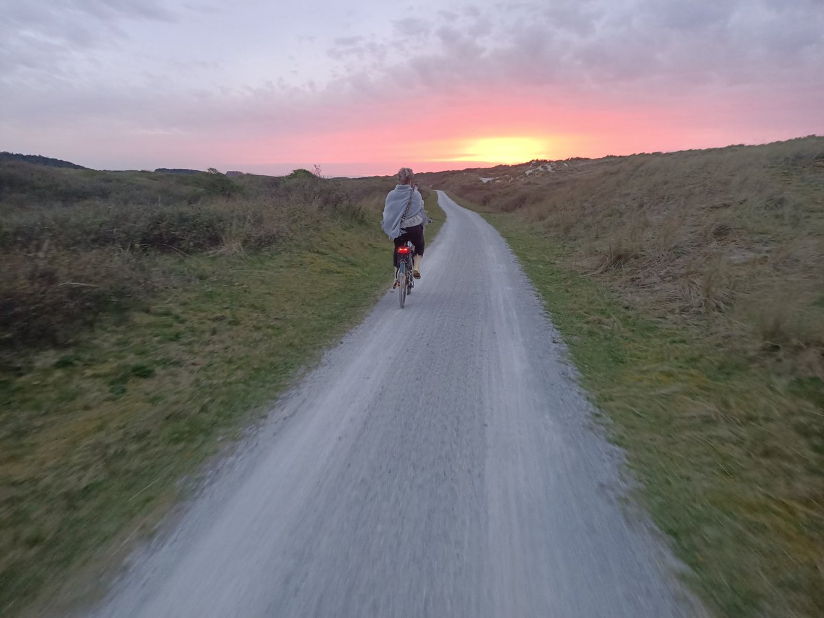 gwermink's tweet photo. @Emsland73 Het Oerd, zeker heen gaan, met fiets. https://t.co/NwDln9Jk5e