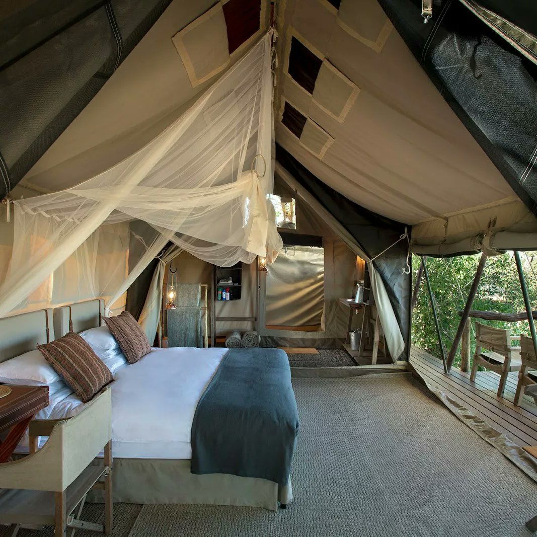 GazelleAfrica's tweet image. O amogelesegile! Meaning welcome in Tswana.

Experience the thrill of the wild at Linyanti Wilderness Reserve, from the campfire&apos;s glow to a star suite that offers a unique opportunity to sleep under a blanket of stars.

🌐gazellesafaricompany.com

#authenticexperiences