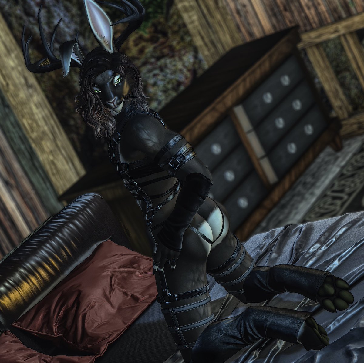 Did a few more pics of the Jackrabbit boy💙More on the way in another post