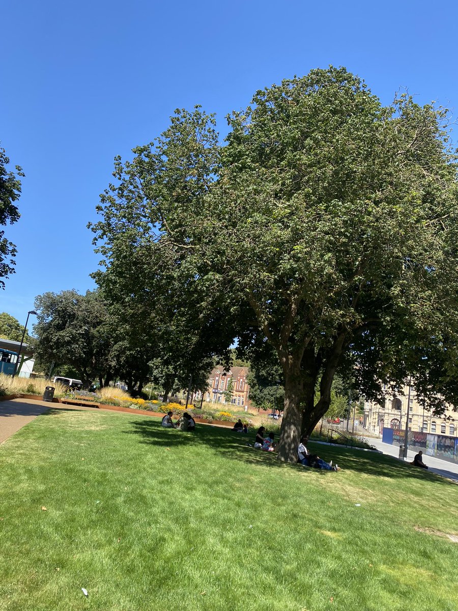 Celia Glynn-Williams tweet media