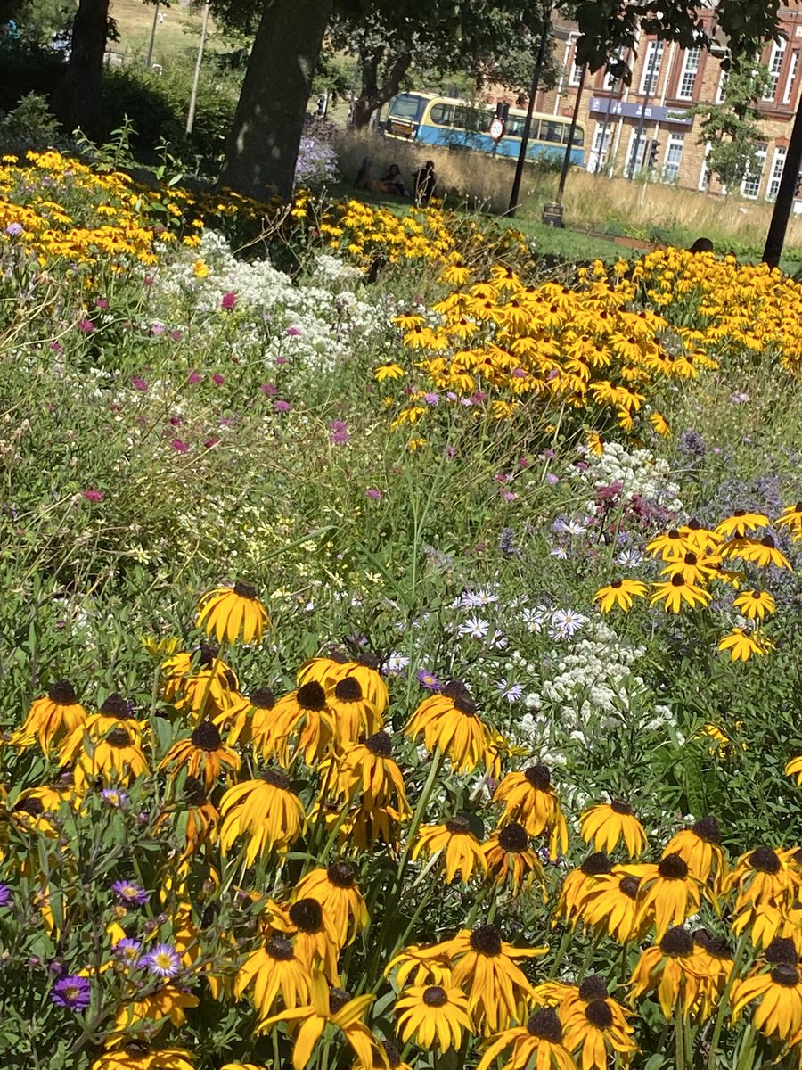 Celia Glynn-Williams tweet media