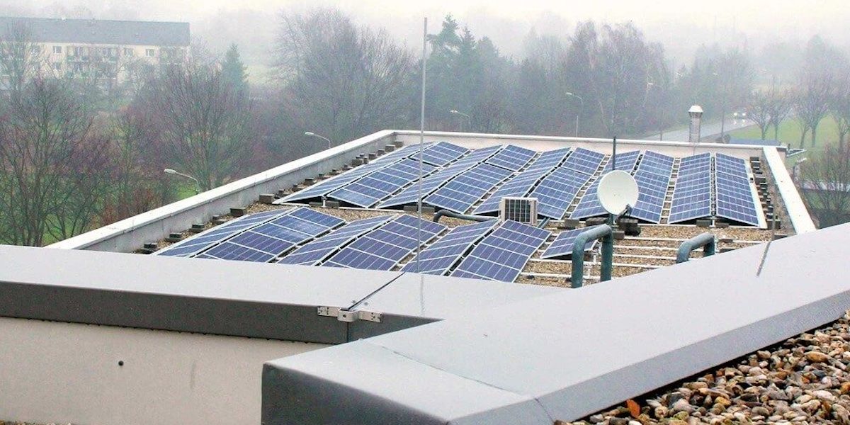 money for future tweet media