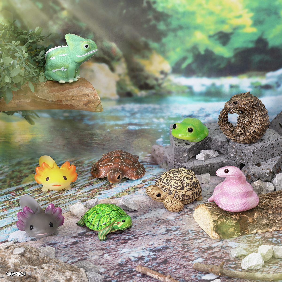 てのりフレンズ 11 🐸8月19日発売！🐢 現在プレゼントキャンペーンを