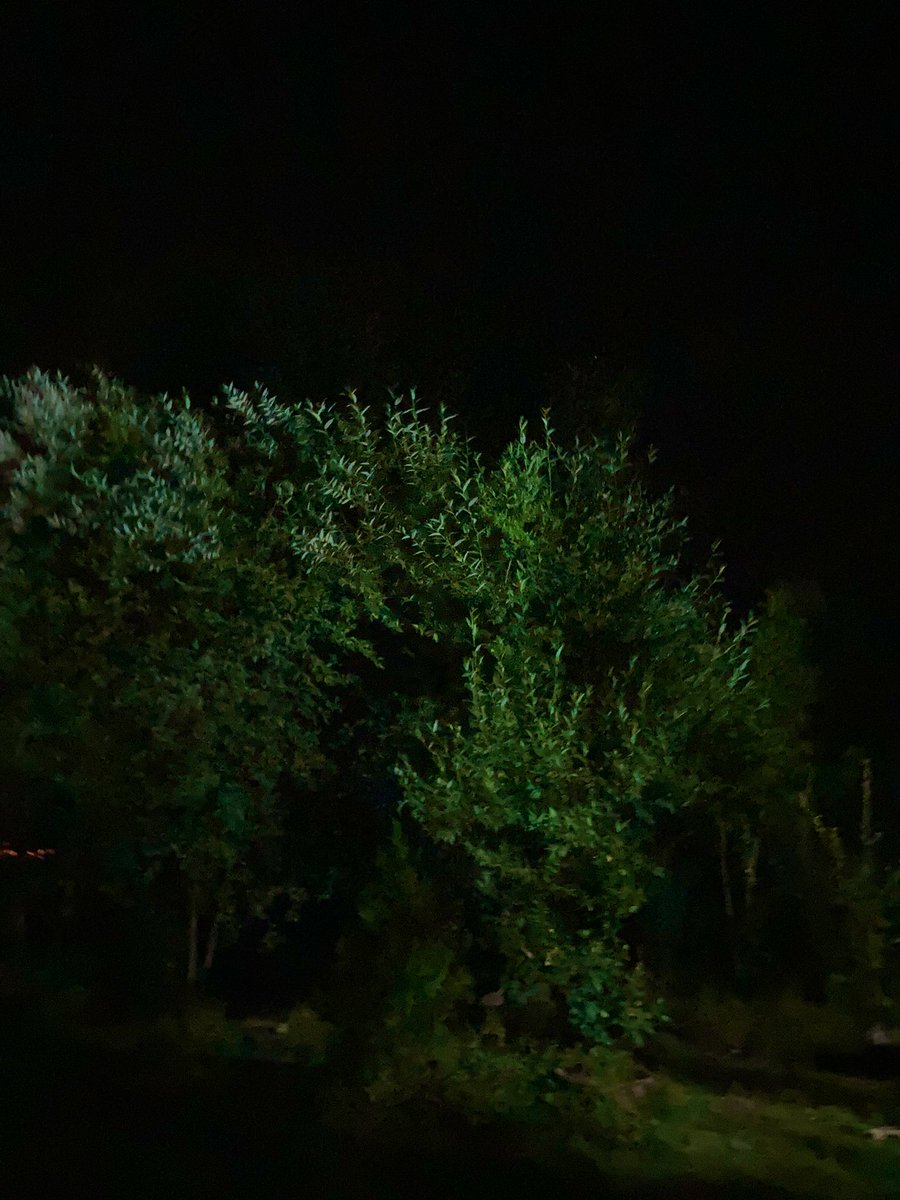 ttopcu05's tweet photo. ✨🌚 https://t.co/mjZY0CXK29
