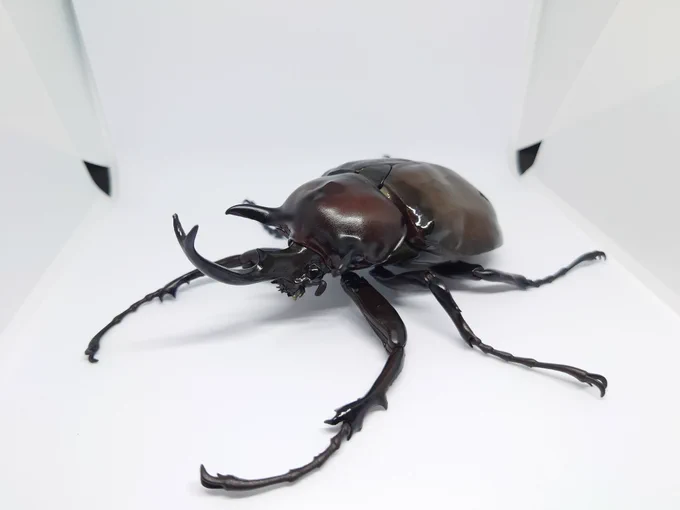 ゾウカブトガチャやってきた マルスゾウのクオリティすげぇ....。