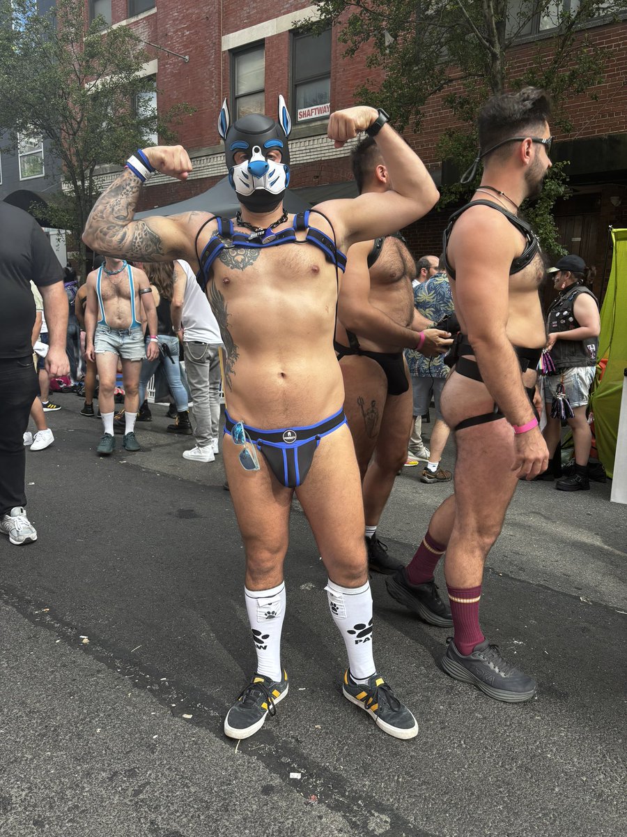 Pup Buster tweet media