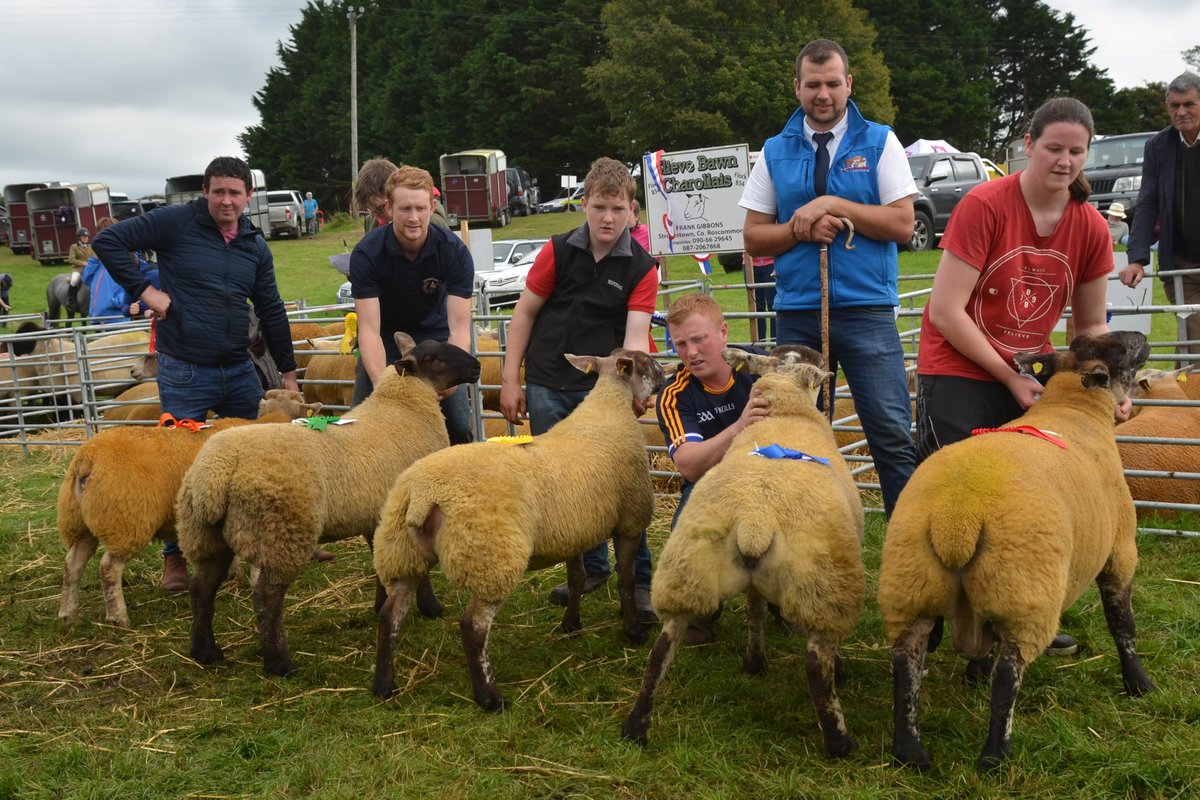 Swinford_Show's tweet image. Show office open from Tuesday 20th to Friday 23rd Aug from 2 - 8pm at Tower Gift Shop Main St #Swinford. If you would like to volunteer on show day, please contact a committee member. Lots of different show classes to enter, Cattle, Horse, Sheep, Poultry, Dogs & Home Industries