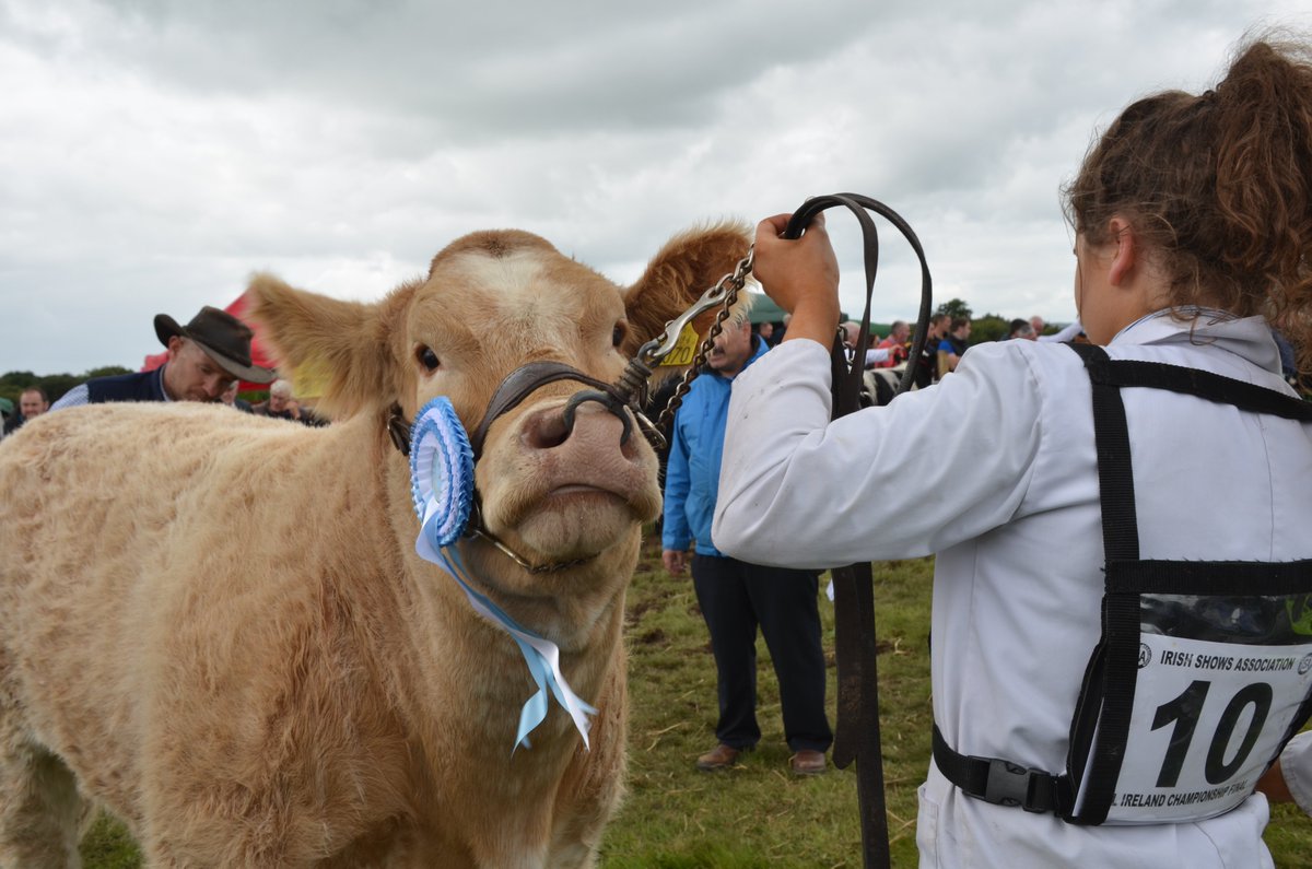 Swinford_Show's tweet image. Show office open from Tuesday 20th to Friday 23rd Aug from 2 - 8pm at Tower Gift Shop Main St #Swinford. If you would like to volunteer on show day, please contact a committee member. Lots of different show classes to enter, Cattle, Horse, Sheep, Poultry, Dogs & Home Industries