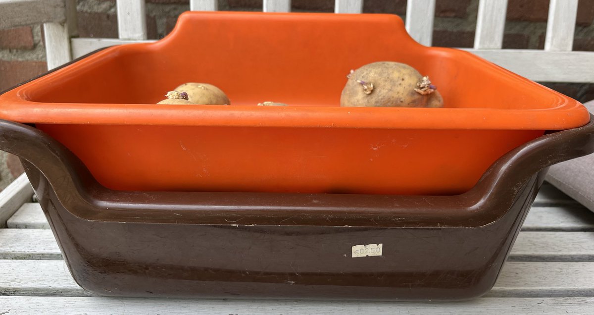 Wietse de Boer tweet media