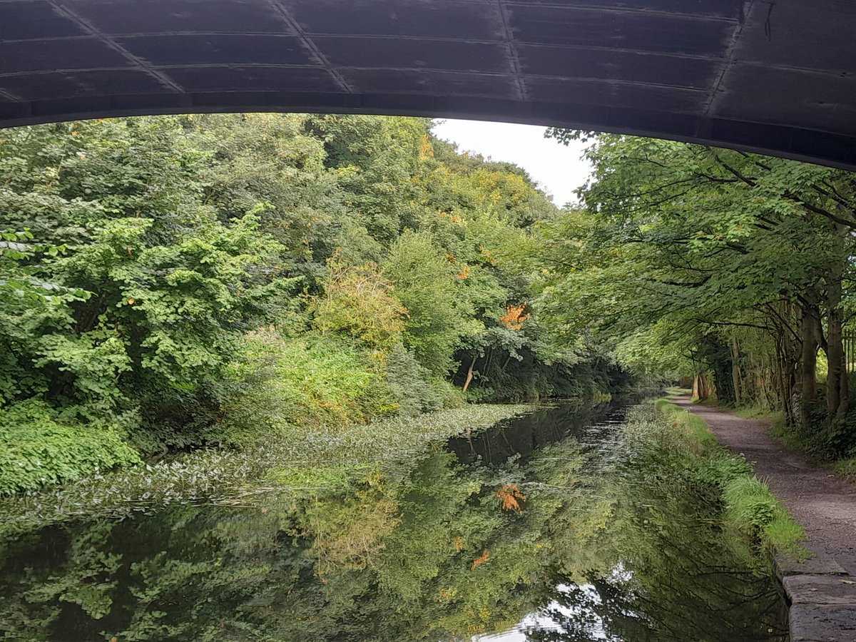 TCV Development North (@tcvnorth) on Twitter photo Needing some serenity, the a walk along the canal in Kirkstall and then chill in the cafe <a href="/TCVhollybush/">TCV Hollybush</a> 11 to 3 Weds to Friday. Lucky to have this as my journey to work. Needing some serenity, the a walk along the canal in Kirkstall and then chill in the cafe <a href="/TCVhollybush/">TCV Hollybush</a> 11 to 3 Weds to Friday. Lucky to have this as my journey to work.