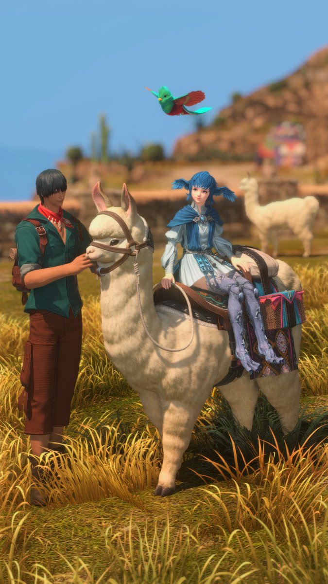 sunbunnio's tweet photo. A new companion 🦙 https://t.co/1k8F3X81Ep