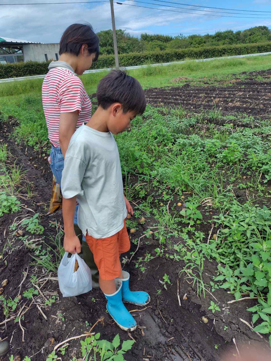 agrigardencamp's tweet photo. 【有料アグリ体験】
今回はジャガイモ収穫🥔袋いっぱいにジャガイモを詰めてお持ち帰りいただきました💕BBQでそのまま焼いても良いですし今回はピザ作りに使いました🍕
有料アグリ体験は時期によって内容が変わります😊
お盆明け、まだ空いているお日にちもありますのでぜひご宿泊ください♪ https://t.co/Gg5l9ZuOmw
