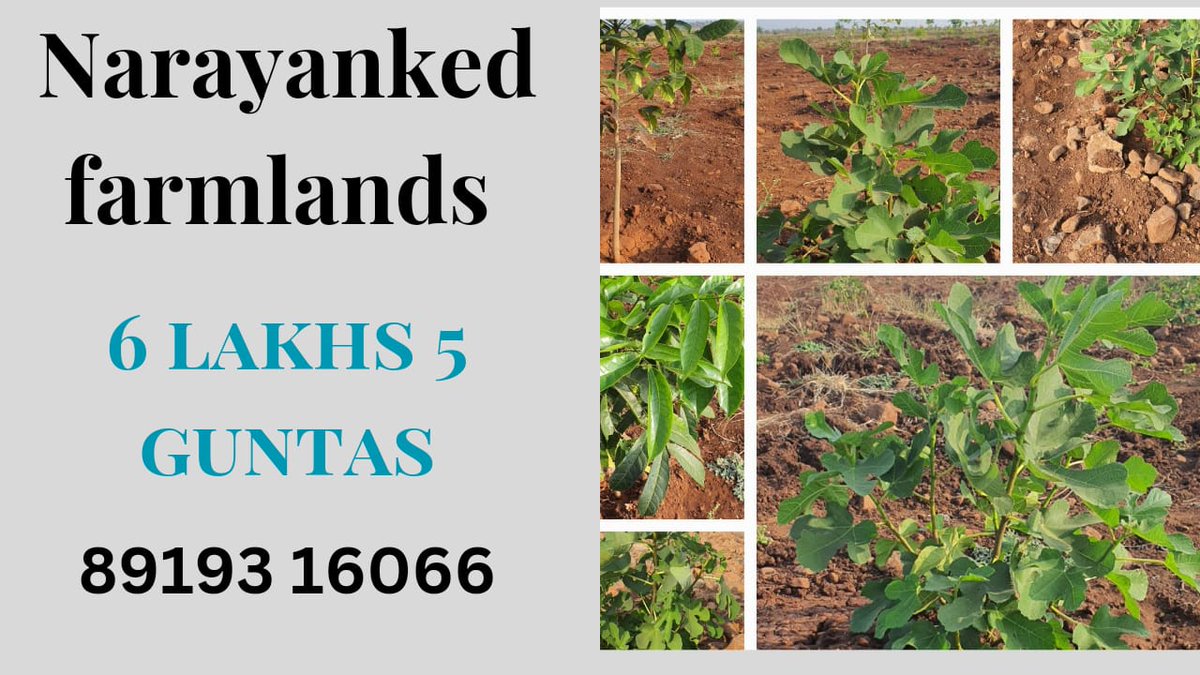 LifeIsAsset's tweet photo. open plots at maheshwaram Hyderabad
#maheshwaram #hyderabad #telangana #openplots #tukkuguda #hyderabaditrends #investmentproperty #openplotsforsaleinhyderabad #wiprohyderabad #applehyderabad #hydairport #maheshwaramhmda #maheshwaramrealestate #farming https://t.co/WyF0VDbUj0