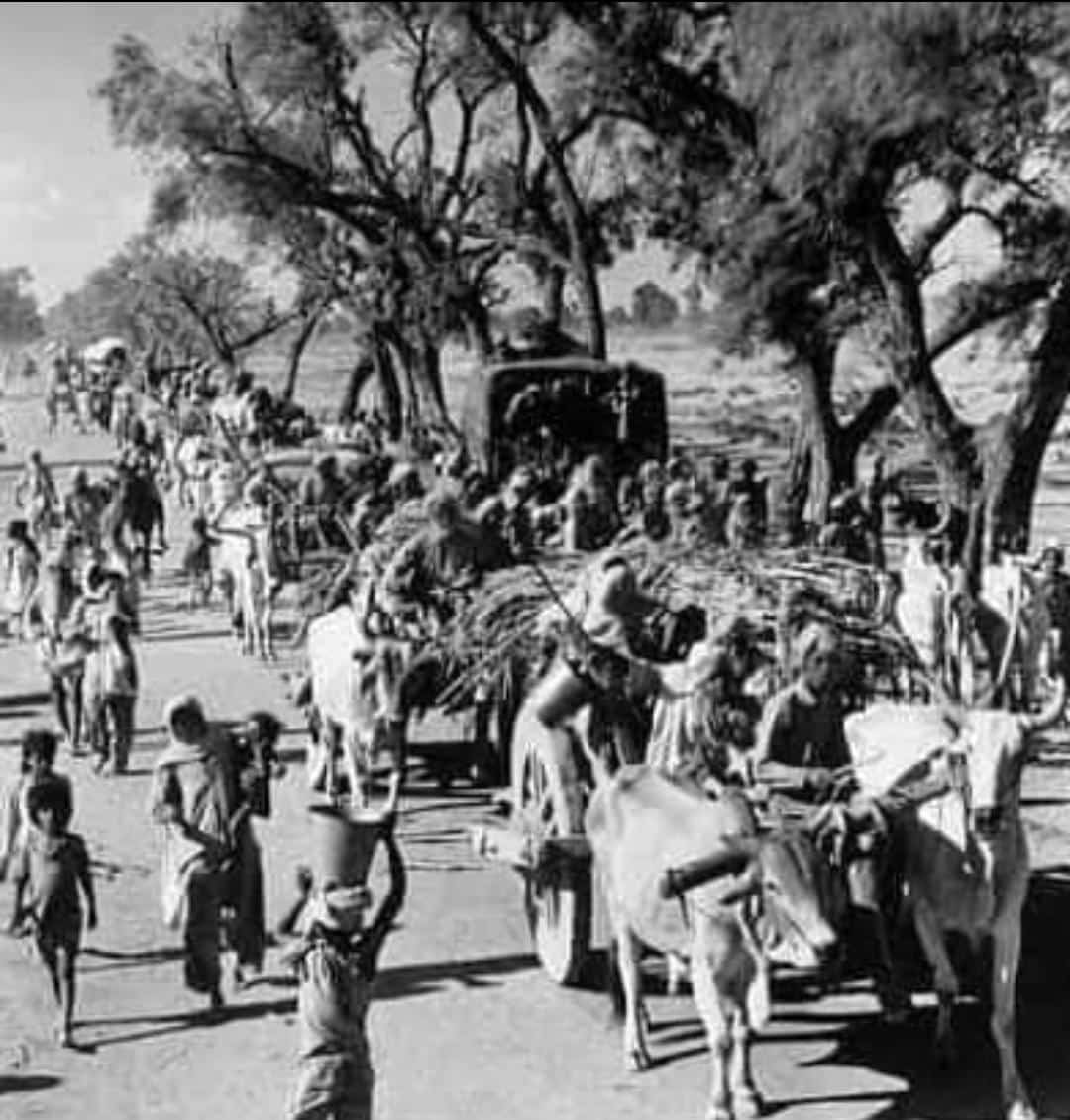 inandhus's tweet photo. Augest 14 partition horror remembering day. 
#PartitionHorrorsRemembranceDay
#thisdaythatyear https://t.co/9z8F5hGOsX