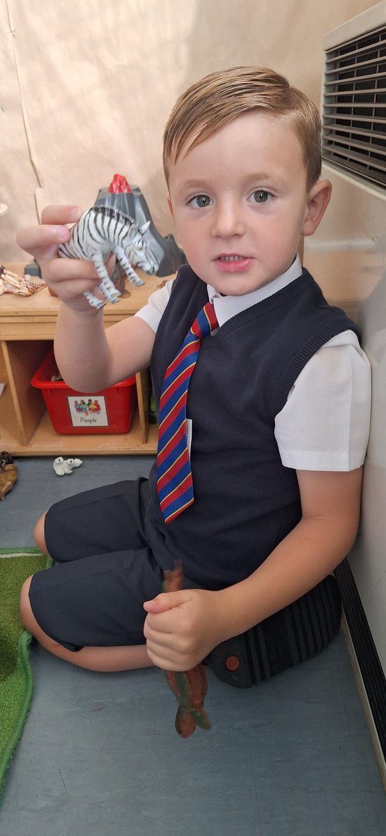 Moray Primary P1 Transition tweet media