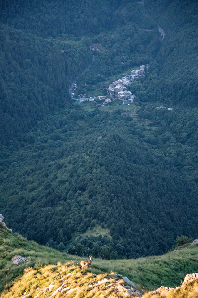 ParcoAlpiLiguri's tweet image. "Le due settimane più strane dell'anno, quando le vie sono piene di #voci, il parco-giochi di schiamazzi di #bambini felici. #Volti conosciuti, #canti e #feste. La magia dell'Estate sui monti liguri" (cit. Pro Loco Verdeggia). Buon #Ferragosto a tutti ☀️