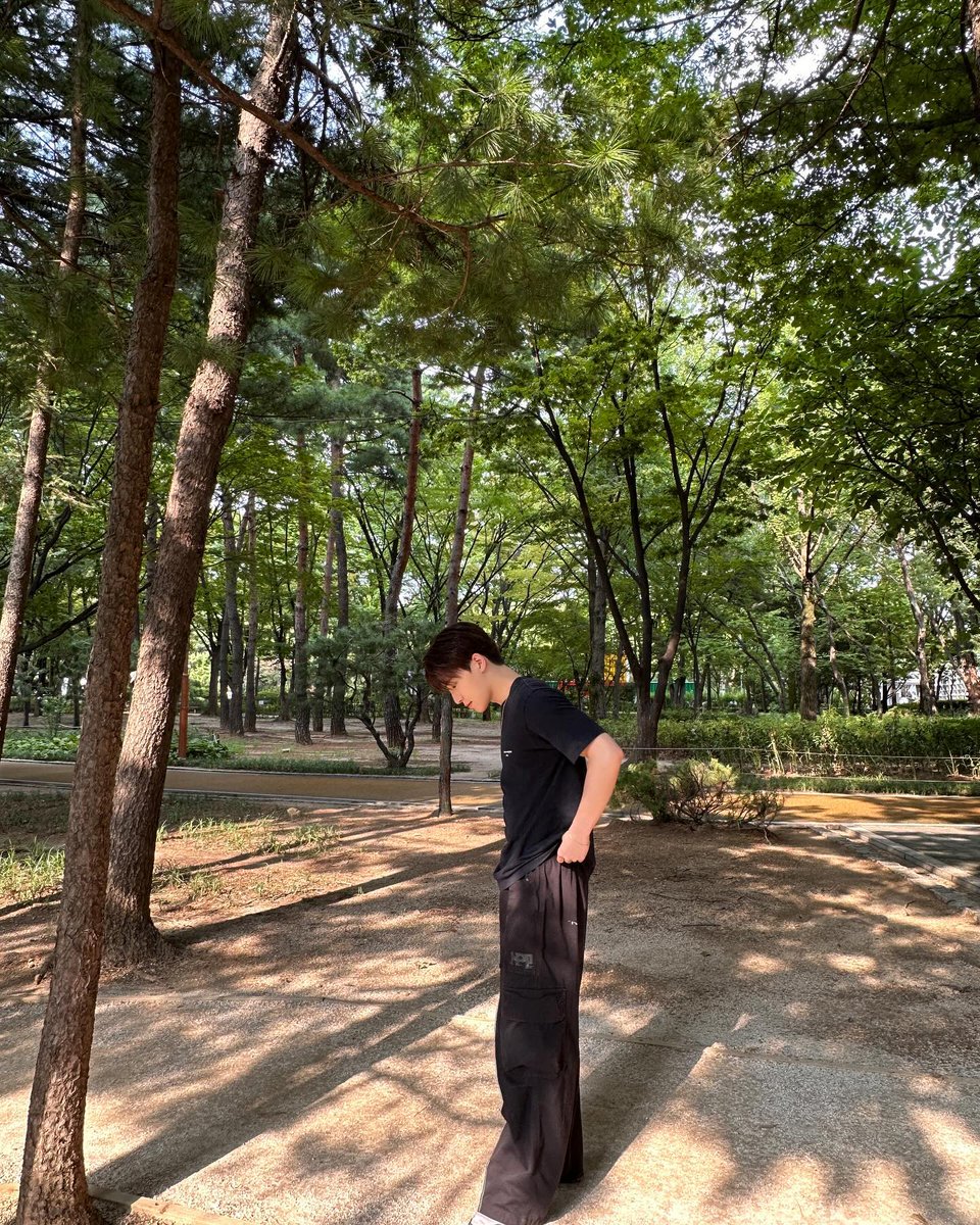 updatingsvt's tweet photo. [#INSTAGRAM] 240813 DINO #디노

🦦: 🌳 https://t.co/myWcqNF8B3