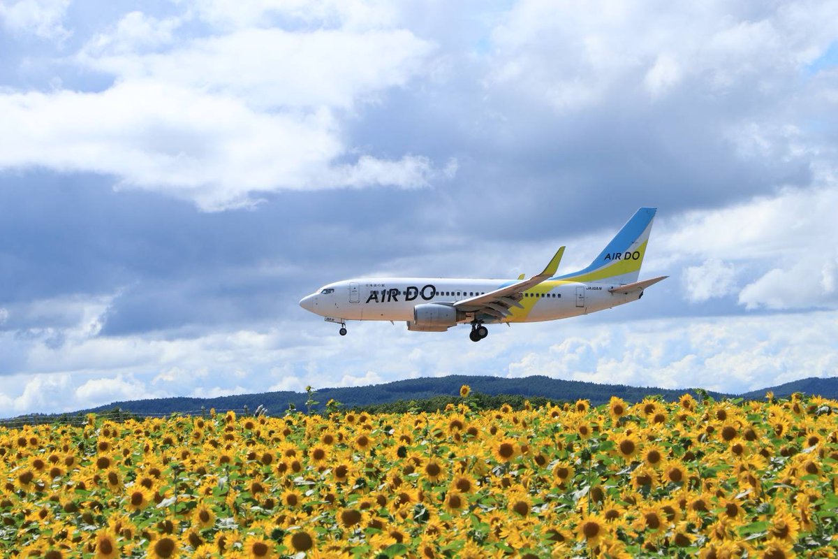 aapb_official's tweet image. 空港写真部だより📷
こちらは先日、女満別空港へ行った際に撮影された写真です。

題名　~ 夏の女満別 ~

#女満別空港 #MMB #旭川空港 #AKJ #airport #空港 #trip
#trip_dohoku #Hokkaido
#北海道
#機場
#観光地 #sightseeing
#japan #travel #旅行 #photo #JAL #AIRDO #airplane