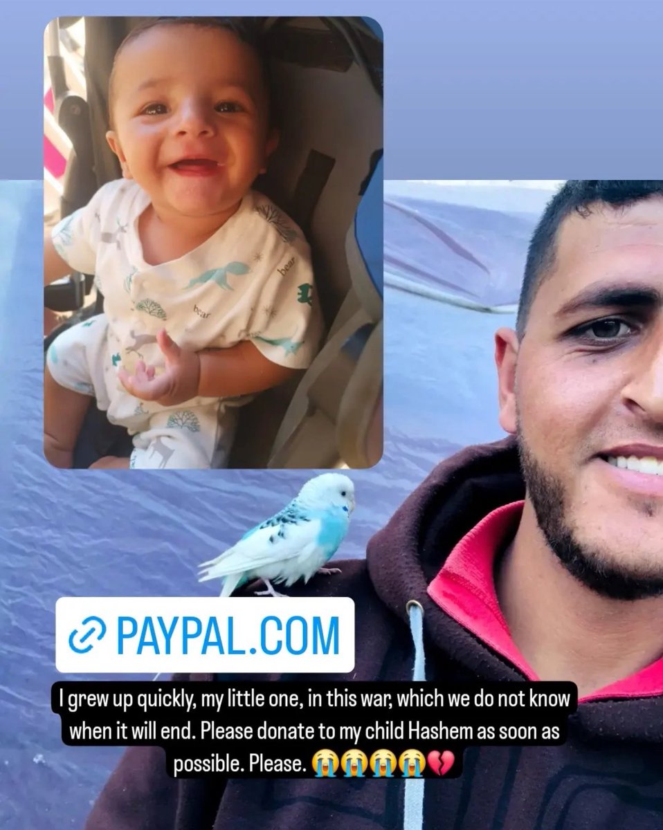 gaywhomasks's tweet photo. $2OO MORE NEEDED ASAP! 🍉

my friend Mohammed has been sleeping on the street for days w/ his wife + their 5 month old baby after being displaced by the z-entity AGAIN. tents cost $1k,  he only needs two hundred more! if 20 people can give $10, his family can have a tent TODAY ❤️‍🔥 https://t.co/C2qJnZOYBB