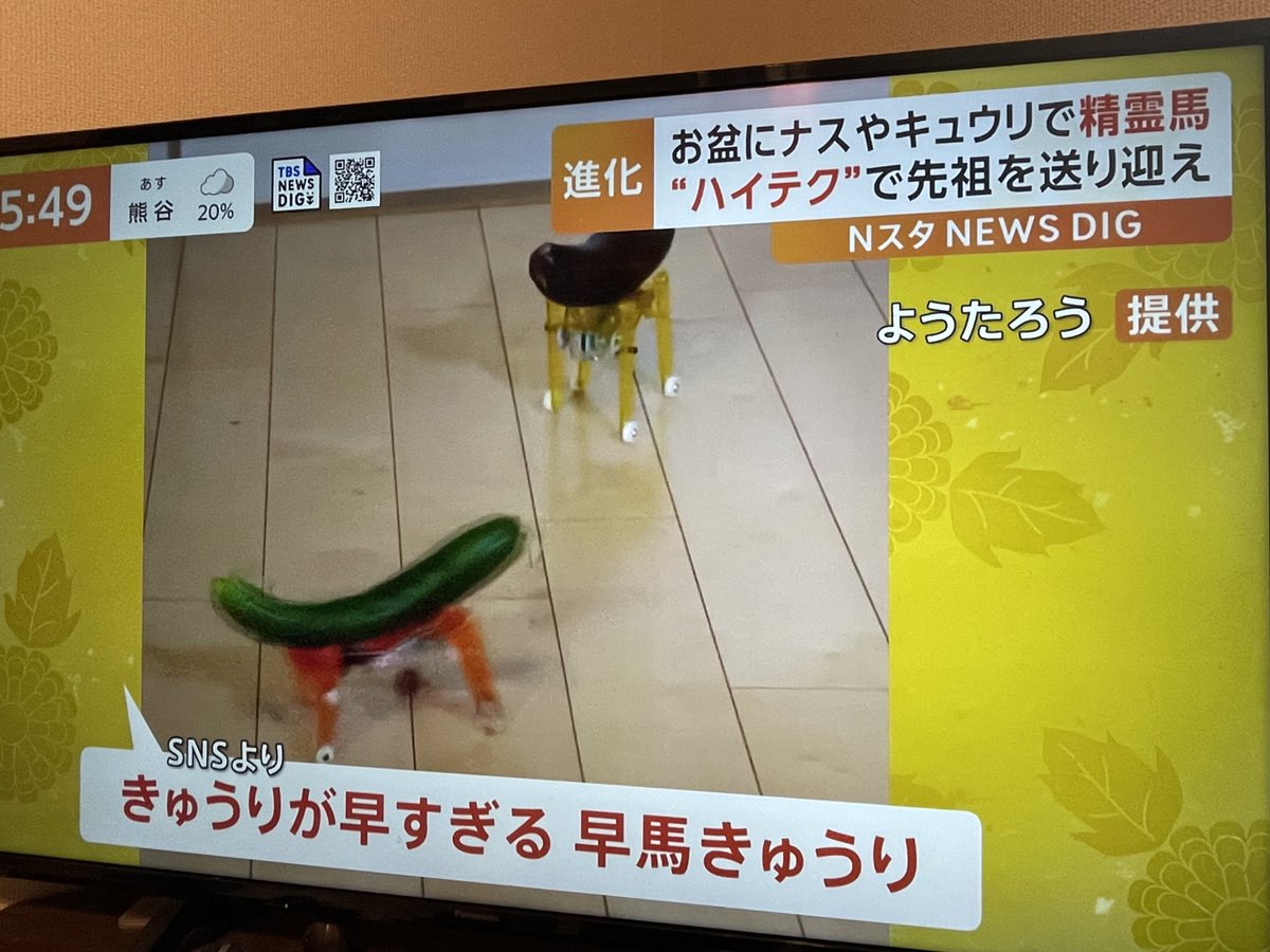 さっき、TBSテレビのニュース番組「Nスタ <a href="/nst_tbs6/">Ｎスタ 公式アカウント</a> 」さんで、精霊馬を取り上げていただきました！
ありがとうございます！
台風や岸田総理のことがあったので放送されないかも？と思っていましたけど良かったです。
#Nスタ #精霊馬 #精霊馬2024