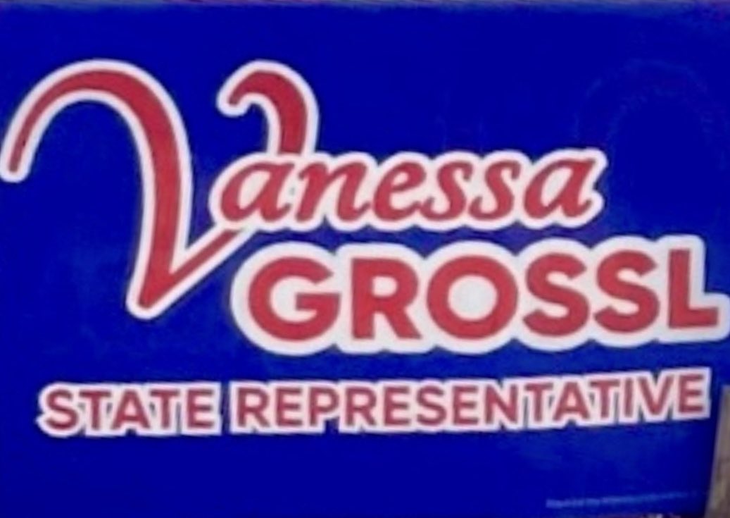 AnnaWShepherd's tweet image. #VoteVanessaGrossl #StateRepresentative #District88