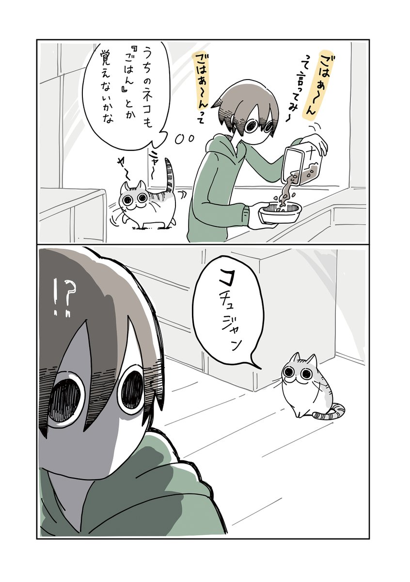 kyuryuZ's tweet photo. 夜は猫といっしょまとめ（1/10） https://t.co/xBXYYiwlBt