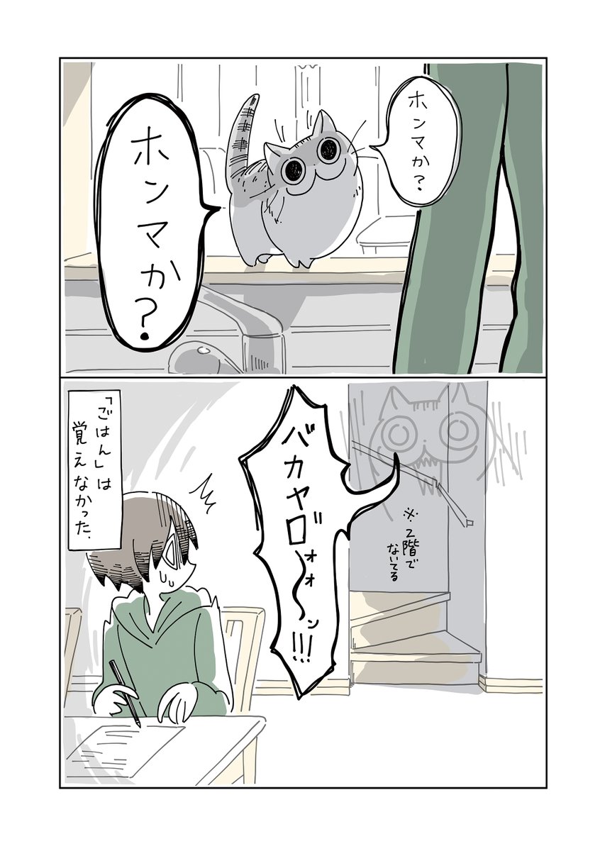 kyuryuZ's tweet photo. 夜は猫といっしょまとめ（1/10） https://t.co/xBXYYiwlBt