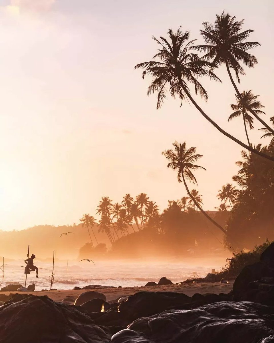 Re post - @srilanka_tailormade Feel the warmth of the golden hour as waves gently kiss the shore. Embrace serenity and beauty all in one view. Our expertly crafted tours ensure you don't just see a sunset; you feel its soul-stirring beauty. @awonderseeker
#SriLanka #lovesrilanka