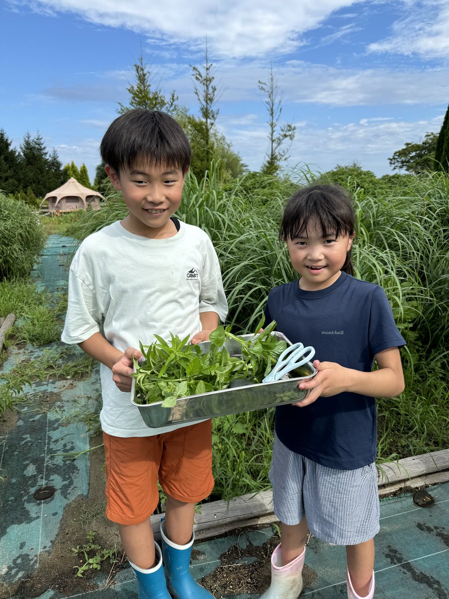 agrigardencamp's tweet photo. 【ひと夏の園ジョイ体験】
自分たちで収穫した野菜をその場でとれたてピザにして作って食べる😋
家族で協力しての作業は盛り上がります♪
ピザを焼いている間にモヒート作りもできます🌿

まだまだ予約受付中です🌟
このひと夏だけの限定ですので、ぜひお早めに🙏

#アグリガーデンキャンプ https://t.co/ExIIvpASPg