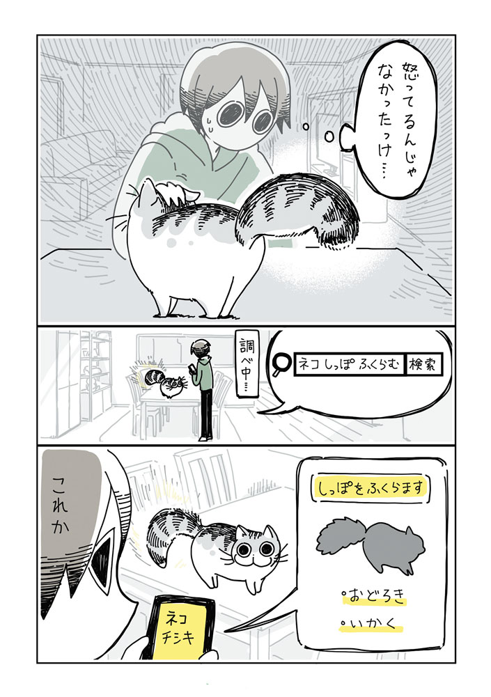 (5/10) 