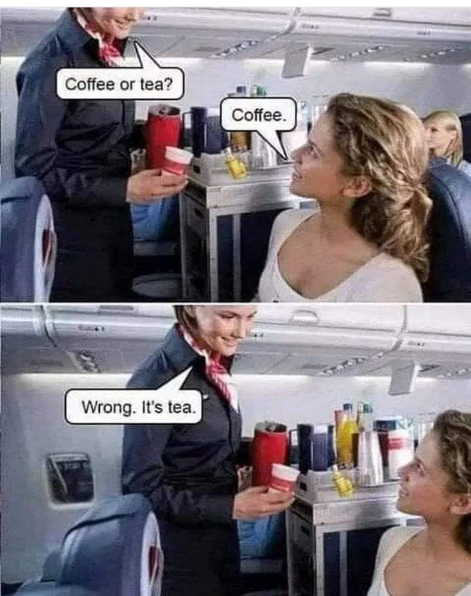 Mr. Penguin𝕏 ...🐧 (@penguinbr0) on Twitter photo 