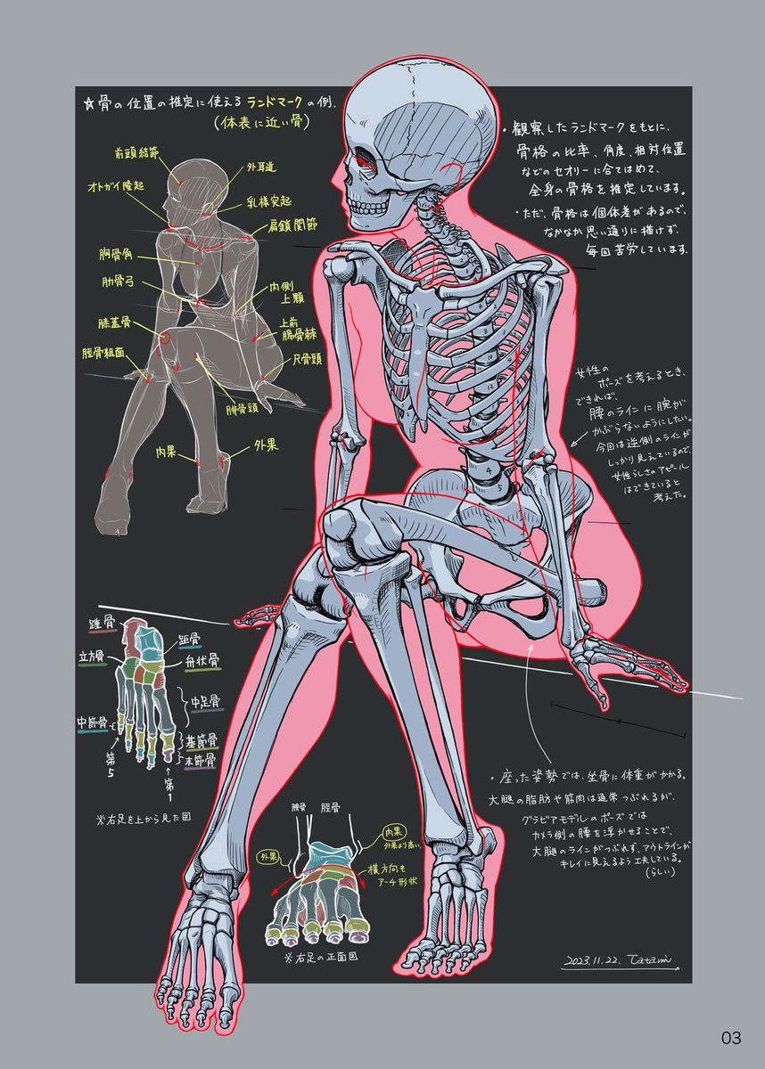 ただ、骨格や筋肉を描くこと自体がパズルみたいで楽しくなる人も結構いると思う。私の同人誌はそのパターン。
キャラ絵や物語性のあるイラストだけが絵の道という訳でもない。
何が言いたいかと言うと、上達のための優先順位とか度外視して解剖学に興味もつ人が増えるのは素直に嬉しいという事です。 