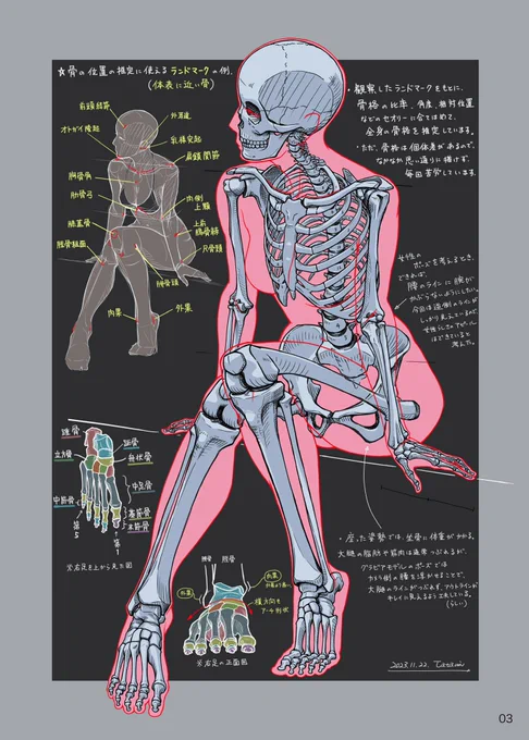 ただ、骨格や筋肉を描くこと自体がパズルみたいで楽しくなる人も結構いると思う。私の同人誌はそのパターン。
キャラ絵や物語性のあるイラストだけが絵の道という訳でもない。
何が言いたいかと言うと、上達のための優先順位とか度外視して解剖学に興味もつ人が増えるのは素直に嬉しいという事です。 