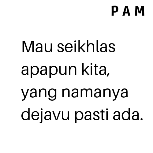 P A M tweet media