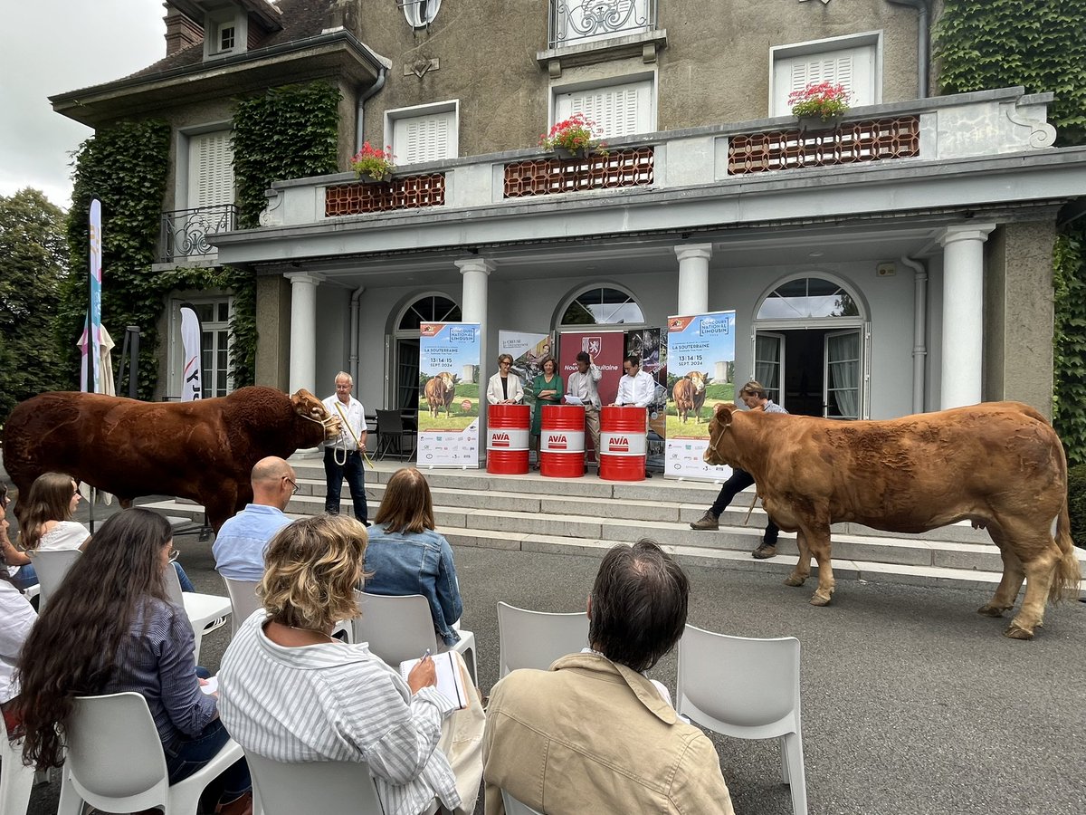 Communication France 3 N-A tweet media