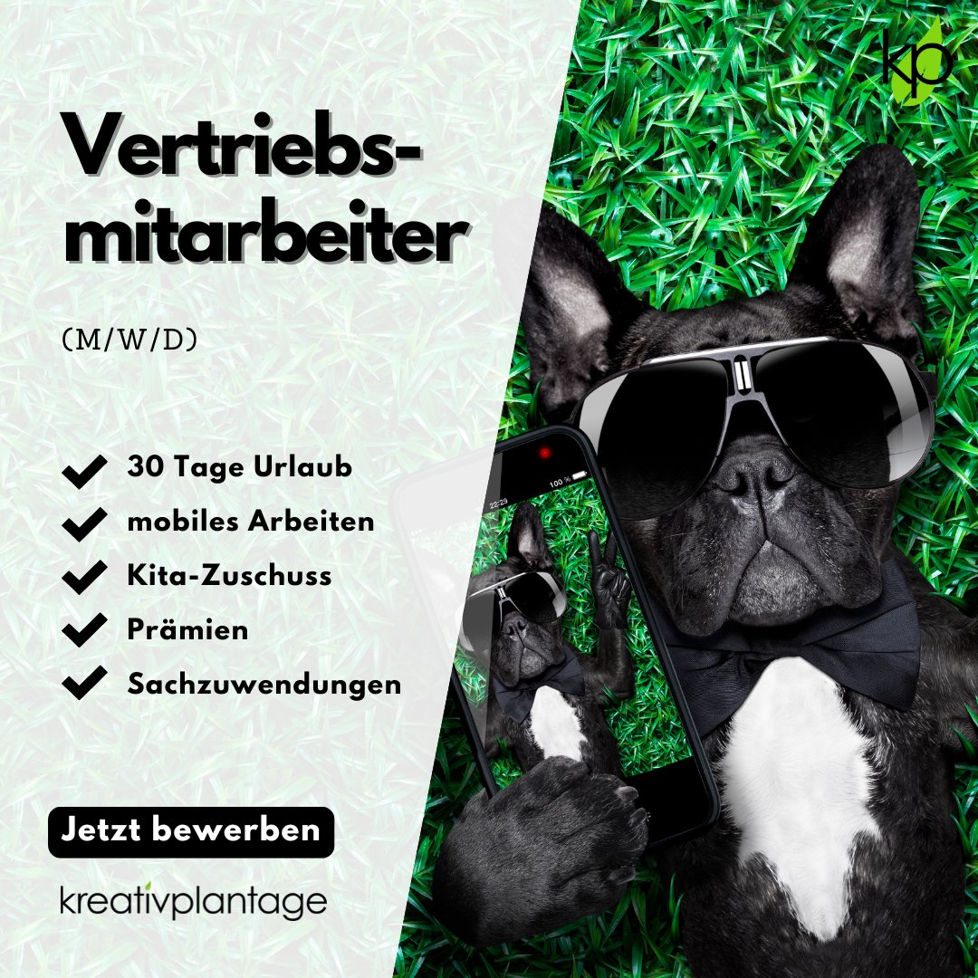 jobclips24's tweet photo. 💥Du willst was Neues entdecken, dein Hobby zum Beruf machen oder deiner Leidenschaft weiter nachgehen? 

Wir von der kreativplantage suchen ab sofort Dich als Vertriebsmitarbeiter (m/w/d)! 
 
🌐 Bewirb Dich einfach fix über unseren Funnel: https://t.co/ulyfgm6lTz https://t.co/41cnzhli5I