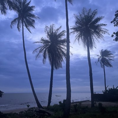 JJCS🇸🇱 tweet media