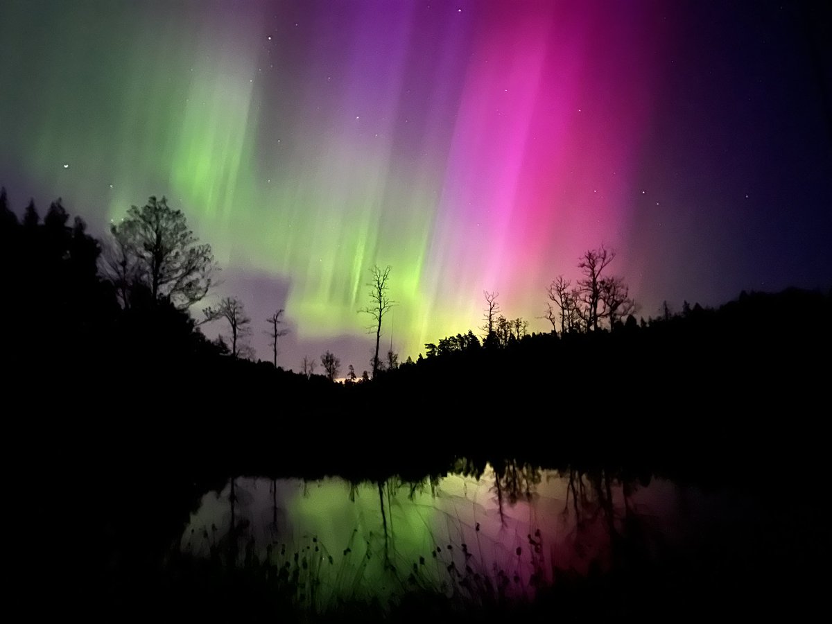 Frauke Ecke tweet media