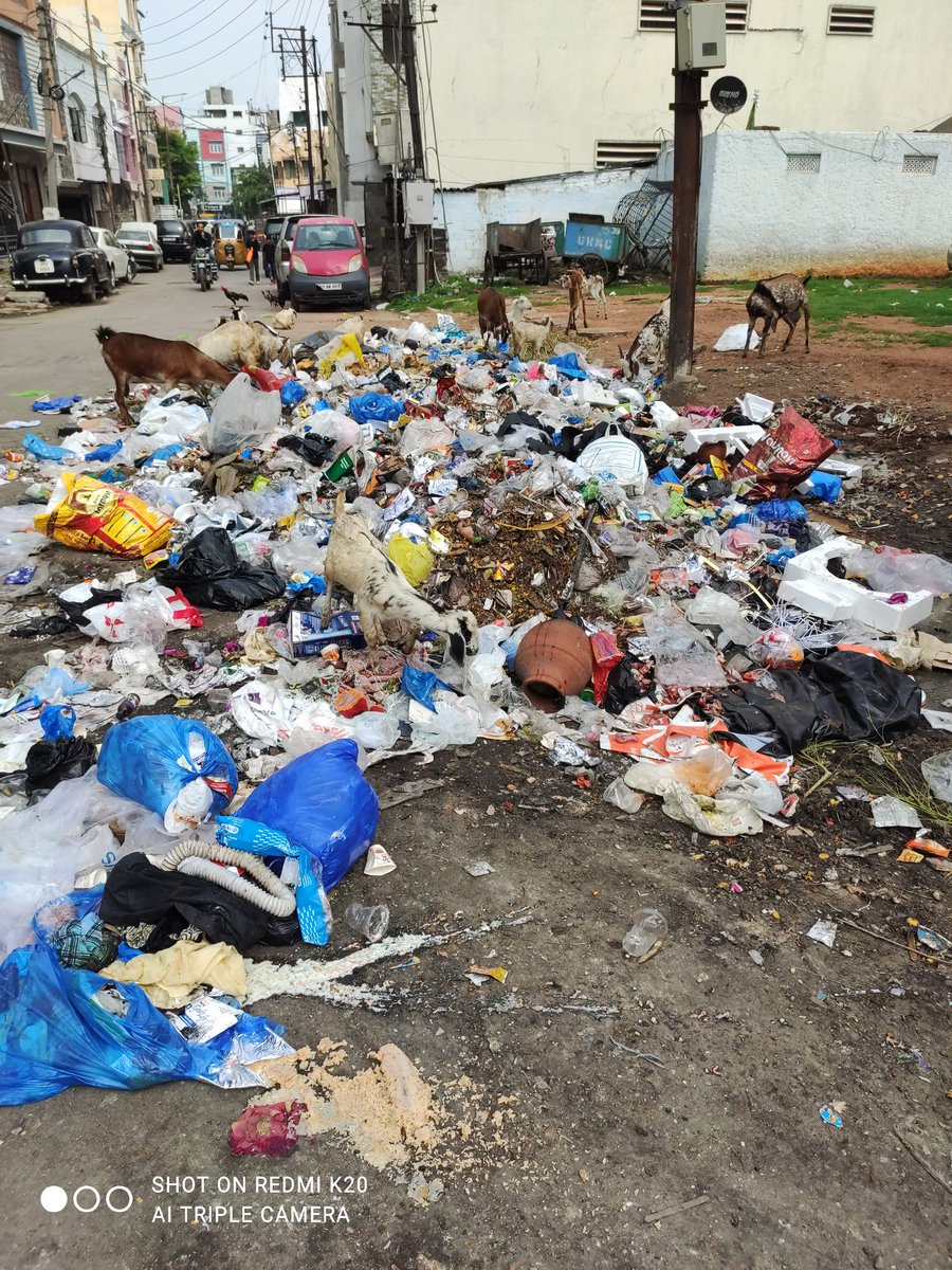 MirhasanaliRaz2's tweet photo. @ZC_SLP plz check this out area Noor Khan bazar I have given complaint from three days garbage on road today one of this group hymhs edit photo and send to on line swach Bharat is this correct ther is so many health issues in my area ghmc responsible health and life plz be seriou https://t.co/ef2217m9SR
