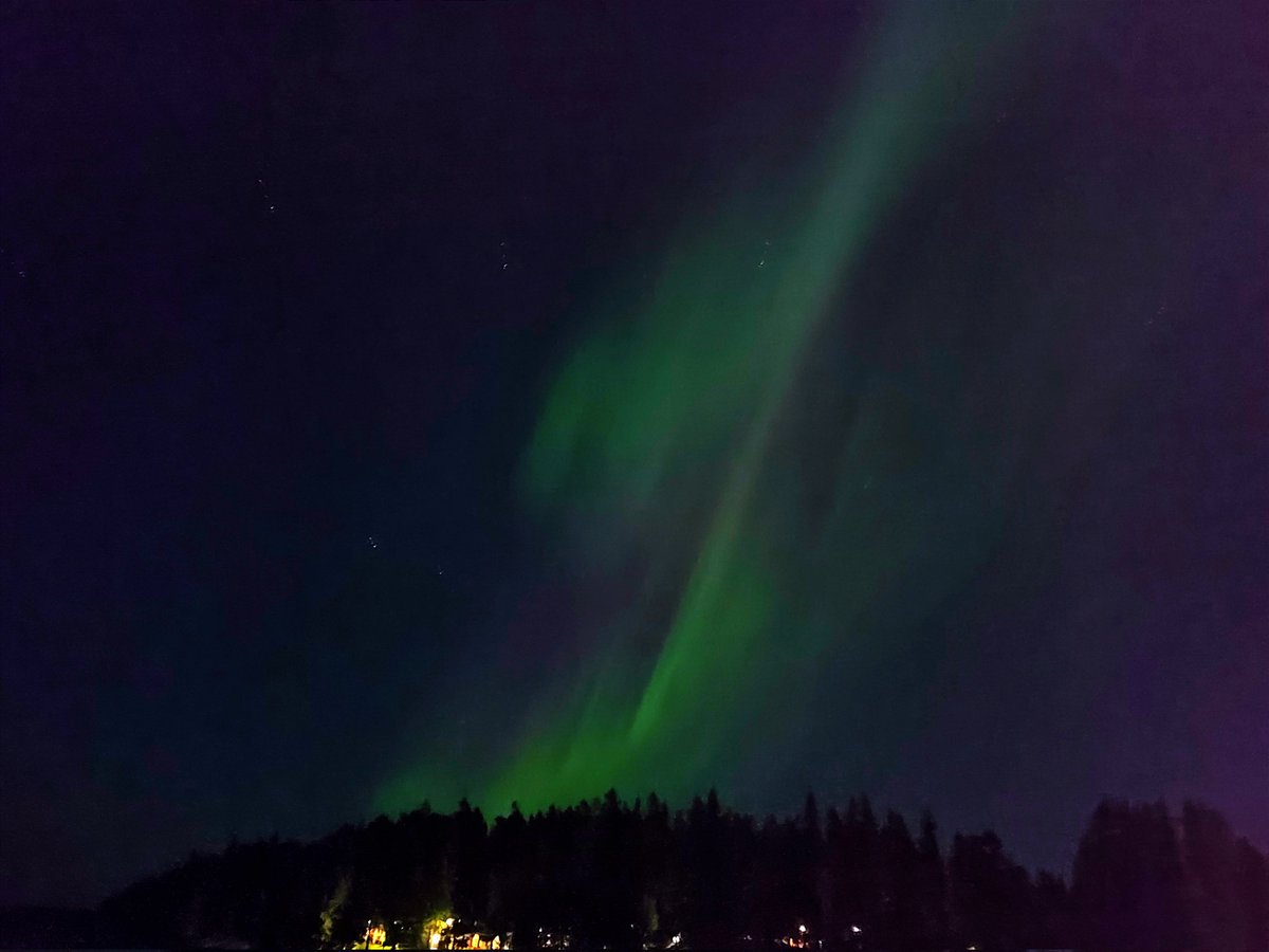 4mbry0's tweet photo. Have you ever seen anything more magical ♡
Went to see Perseids with my friend few nighs ago but ended up seeing the most beautiful Northern lights! We saw some Perseids, too but this was definitely the highlight 🌌
(The quality is most horrible, sry ._.)
#SicklingsDaily https://t.co/pm234GxLNa