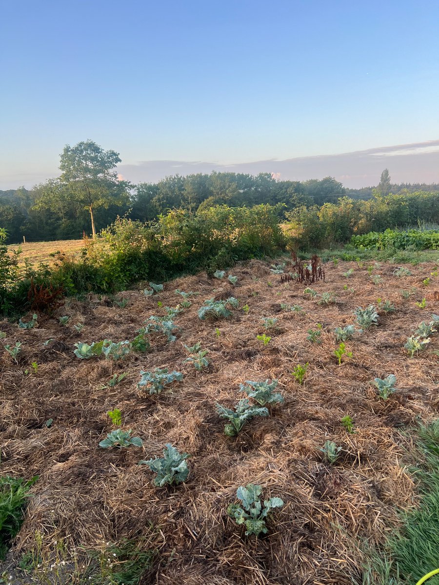 Doug Wanstall tweet media