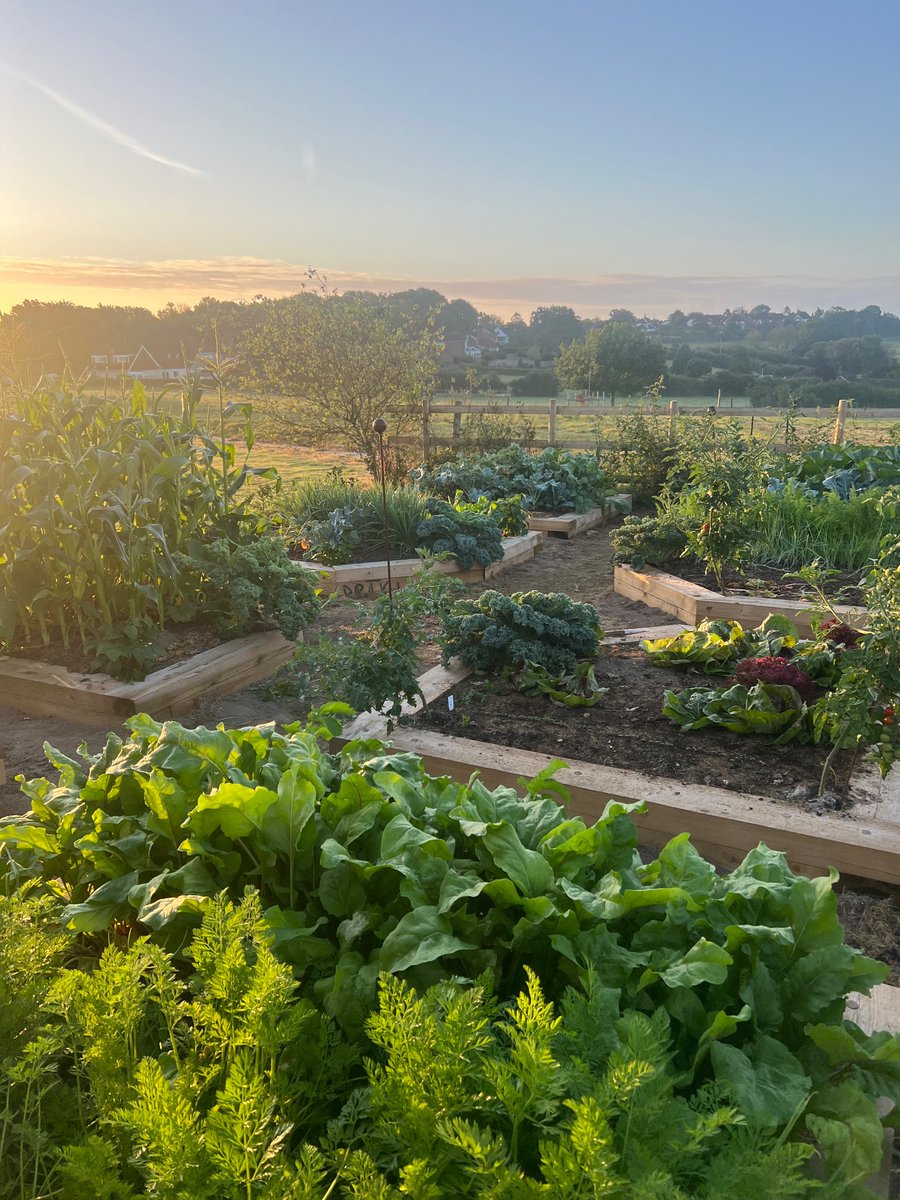 Doug Wanstall tweet media