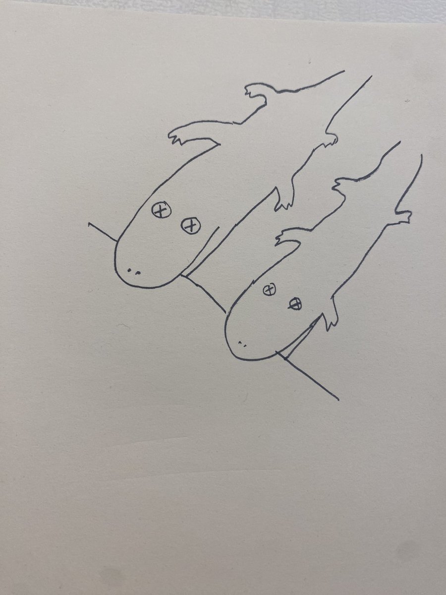 초이초이 (@jychoioioi) on Twitter photo 