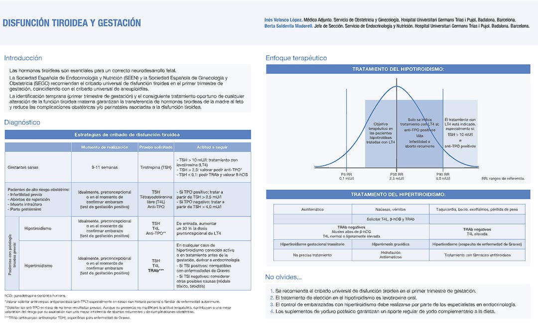 🆕 Endonutrigrafías en actualizaciones del #ManualSEEN ▶ Disfunción #tiroidea y gestación

Por las Dras. Inés Velasco López y Berta Soldevila➕ℹ swki.me/WQeq3bDZ