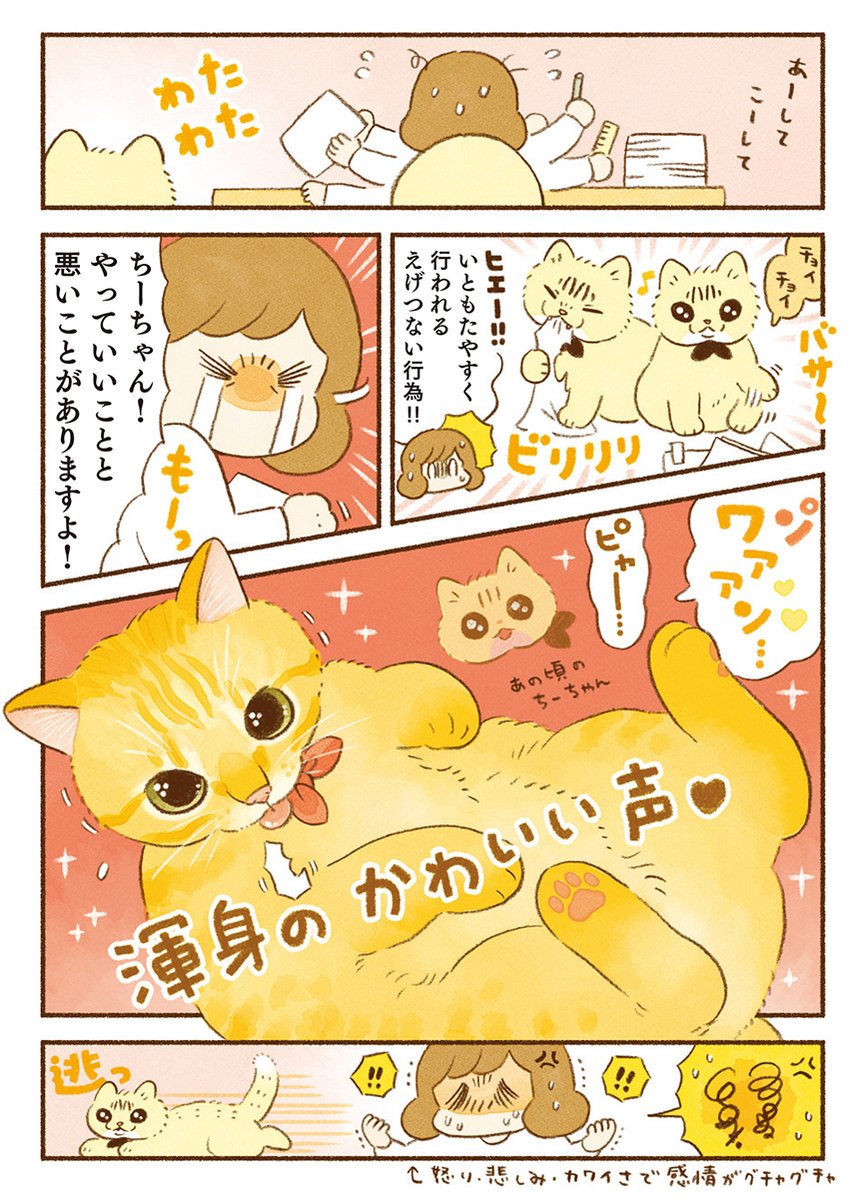 (5/10) 