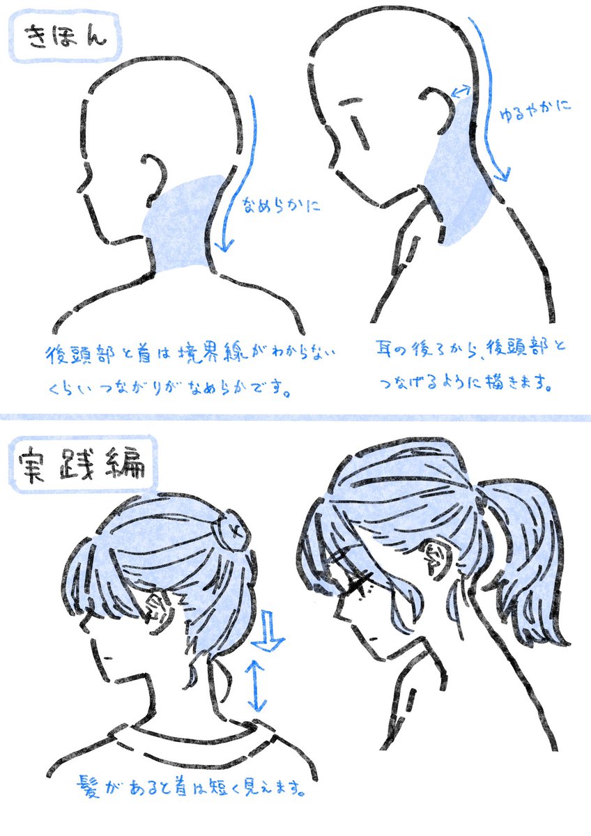 たくさん模写して気づいたポイント【首】
➡️https://t.co/Gkn0GqH3bR 