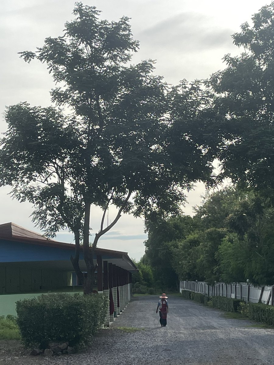 BEPT89's tweet photo. ร้อนจัง อาบน้ำกัน #พัฒนานิคม #ฮนกฮูก #ซอย15 #ลพบุรี https://t.co/WaJ6A1rhtk