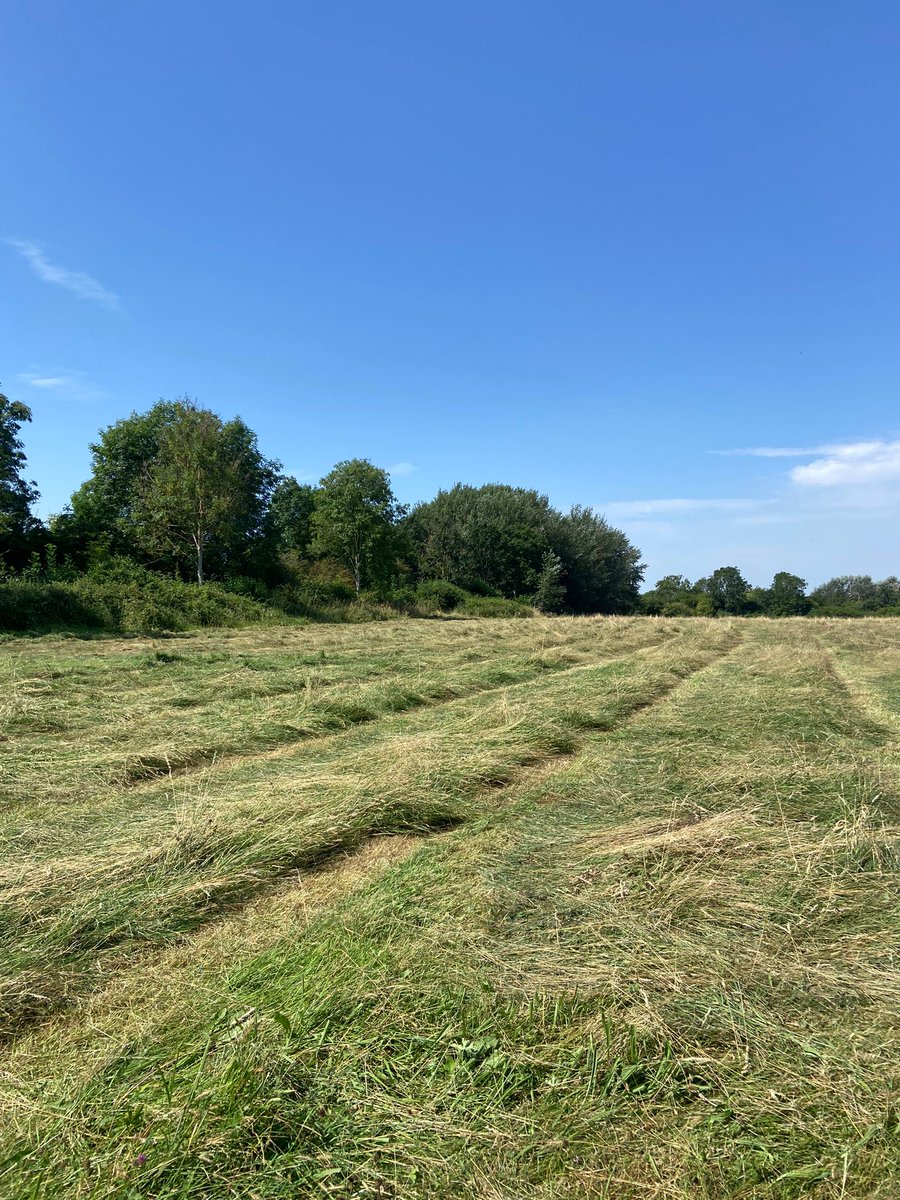 earth_trust's tweet photo. ๐Perfect summerโs day and our land team were out for the hay cut on #WittenhamClumps.
Cutting, drying, removing the grass & wildflowers allow them to set seed for next year.
Working into the evening, but with a sunset like this, it's not the worst place to be doing overtime!๐ https://t.co/haVoCXY88A