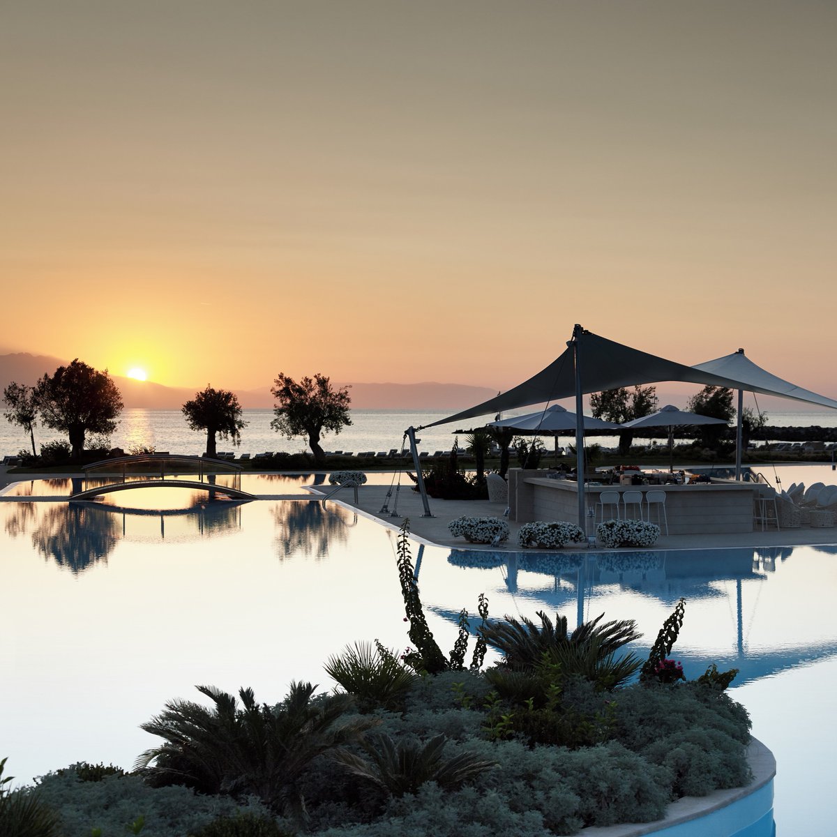 sani_resort's tweet photo. Find your perfect escape at Sani Resort, where luxury and enchantment create unforgettable experiences. From elegant accommodations to exceptional service, every moment is magical.
Sani Resort. Crafting Memories.
#OnlyatSani #SaniResort #SaniMagic https://t.co/RfeZewZWW6