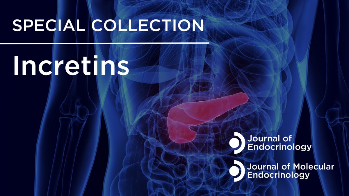 Journal of Endocrinology (@jendocrinology) on Twitter photo Read the latest review in the #Incretins Special Collection:
📍 Incretin-mediated control of cardiac energy metabolism
By <a href="/JordanSFChan/">Jordan Chan</a>, <a href="/Taninshf/">Tanin Shafaati</a> and <a href="/JussherLab/">John R. Ussher</a> <a href="/UAlberta_Pharm/">UAlberta Pharmacy</a>
👉 ow.ly/e4sx50SXq5X Read the latest review in the #Incretins Special Collection:
📍 Incretin-mediated control of cardiac energy metabolism
By <a href="/JordanSFChan/">Jordan Chan</a>, <a href="/Taninshf/">Tanin Shafaati</a> and <a href="/JussherLab/">John R. Ussher</a> <a href="/UAlberta_Pharm/">UAlberta Pharmacy</a>
👉 ow.ly/e4sx50SXq5X